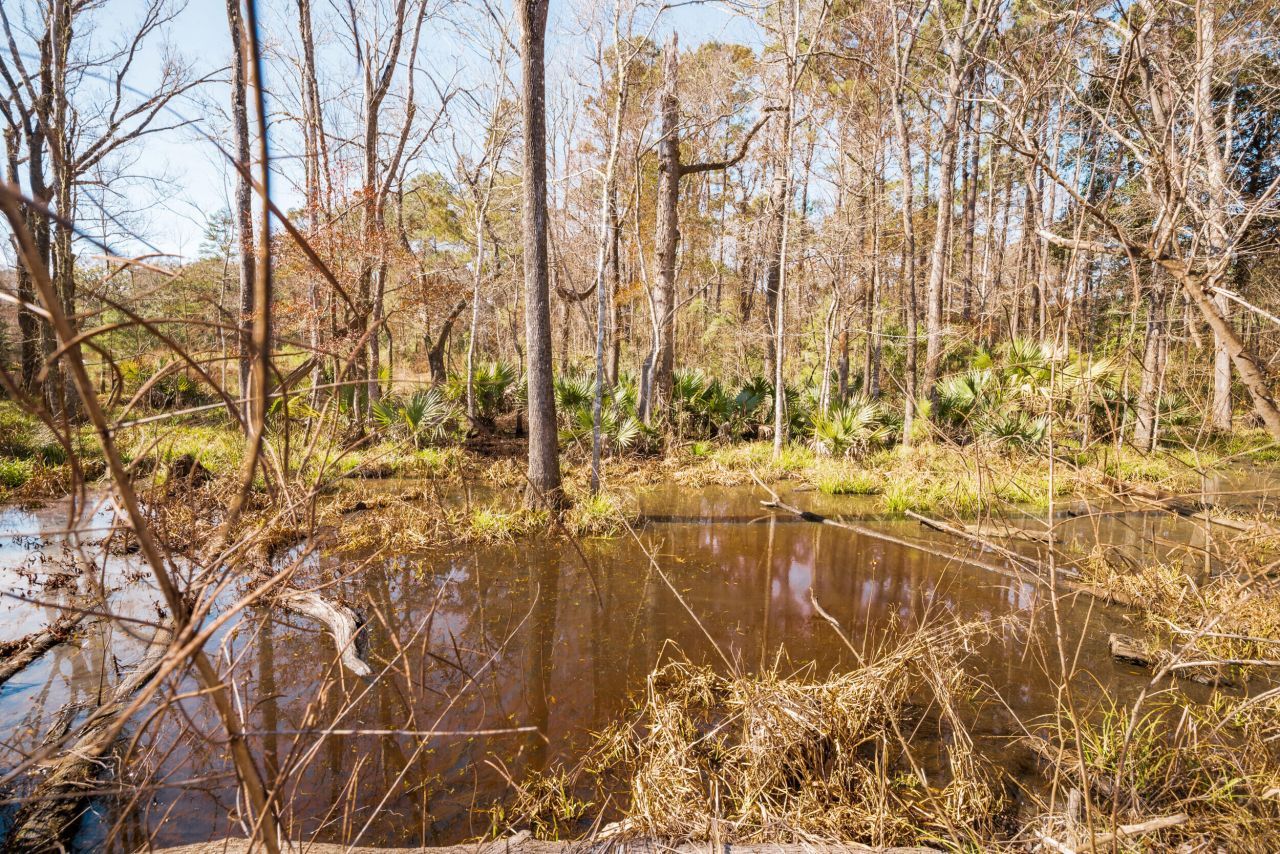 4294 River Road Photo 14