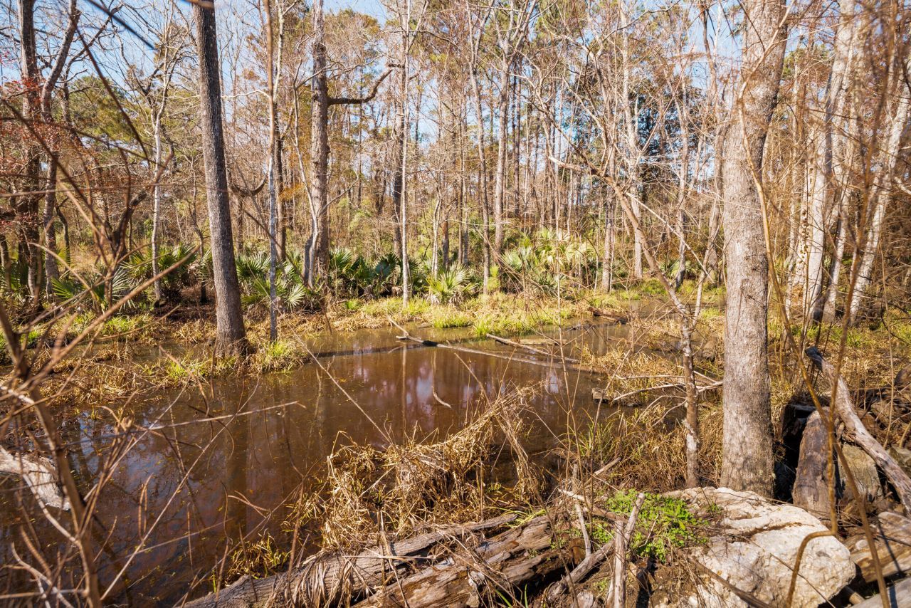 4294 River Road Photo 15