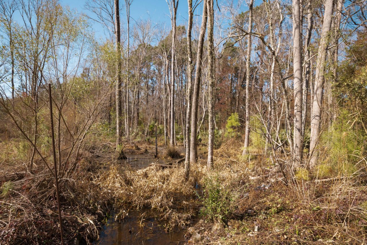 4294 River Road Photo 18