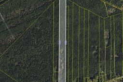 4294 River Road photo 4