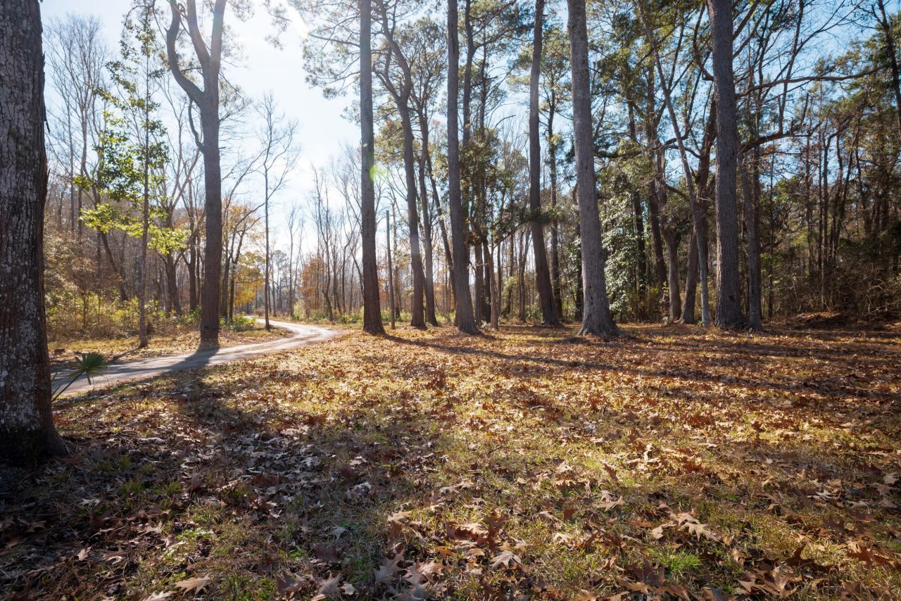 4294 River Road Photo 20