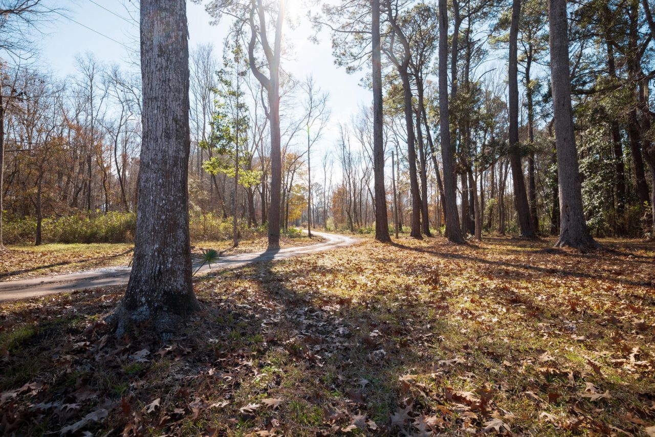 4294 River Road Photo 21