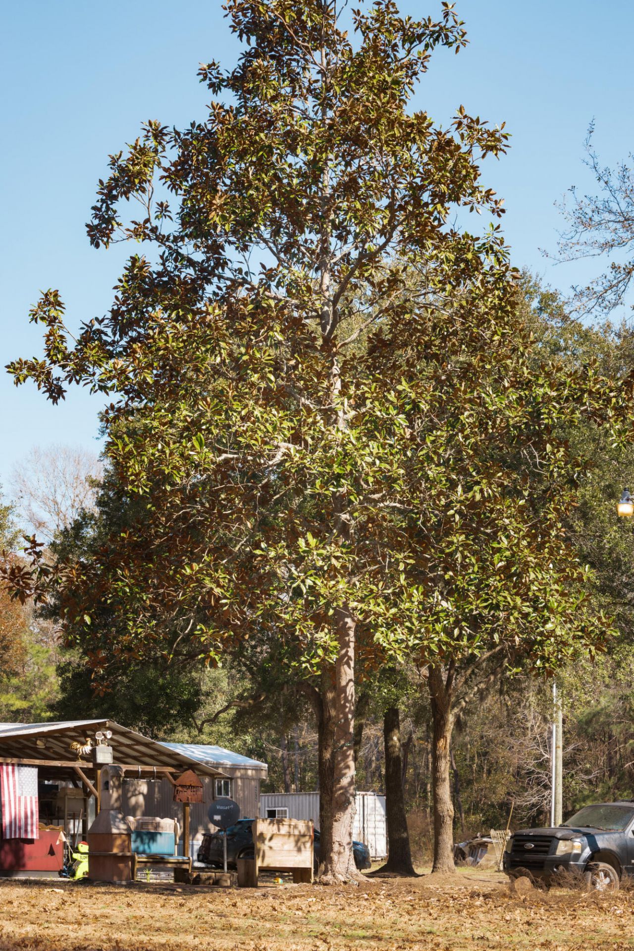 4294 River Road Photo 23