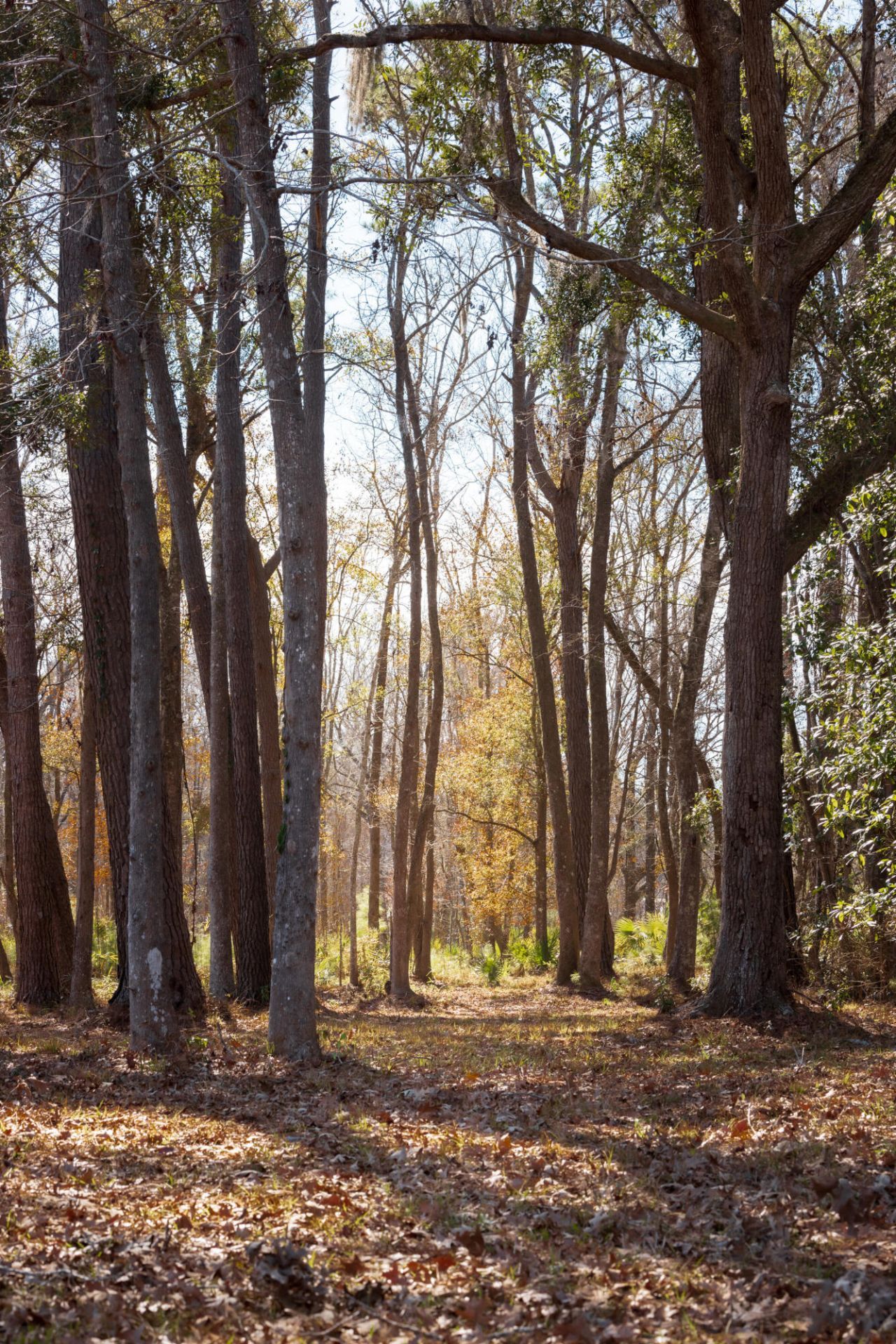 4294 River Road Photo 25