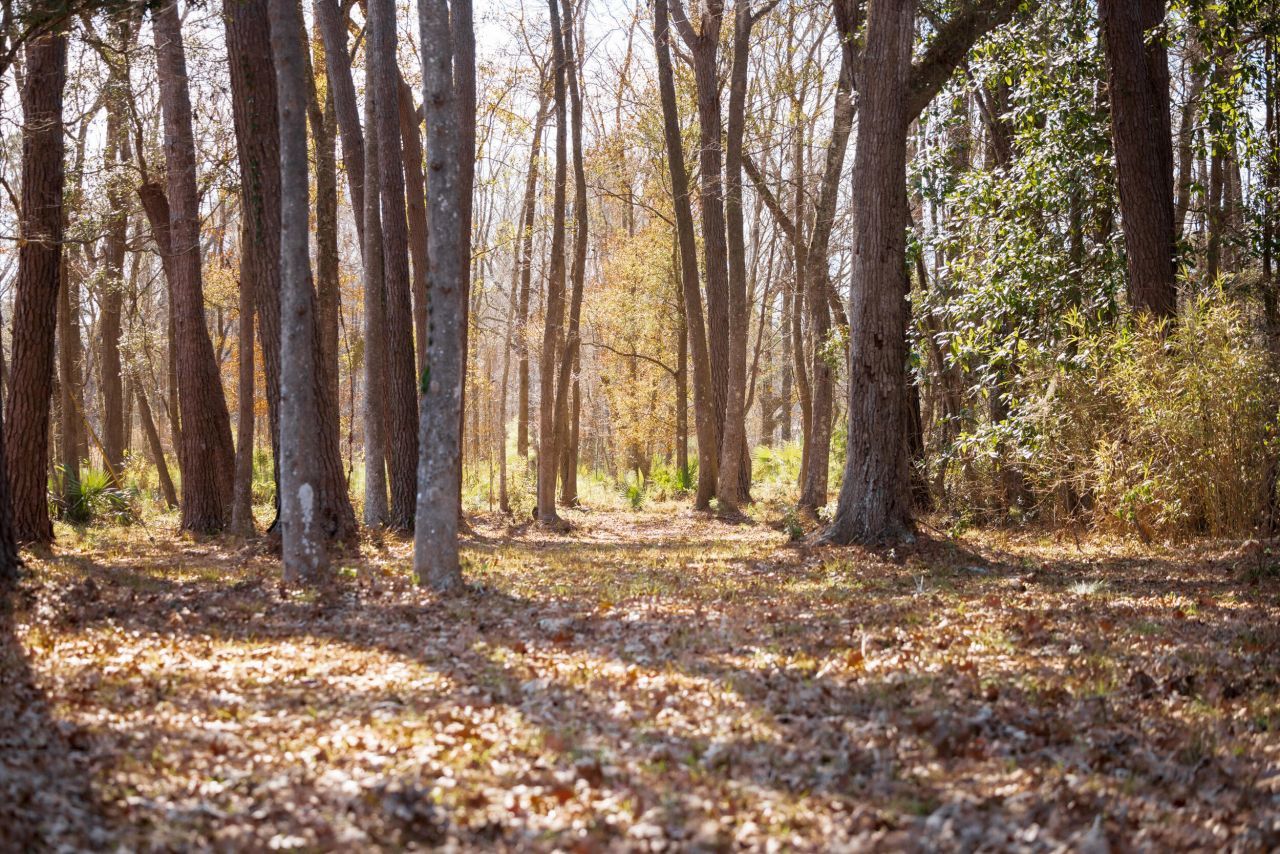 4294 River Road Photo 26