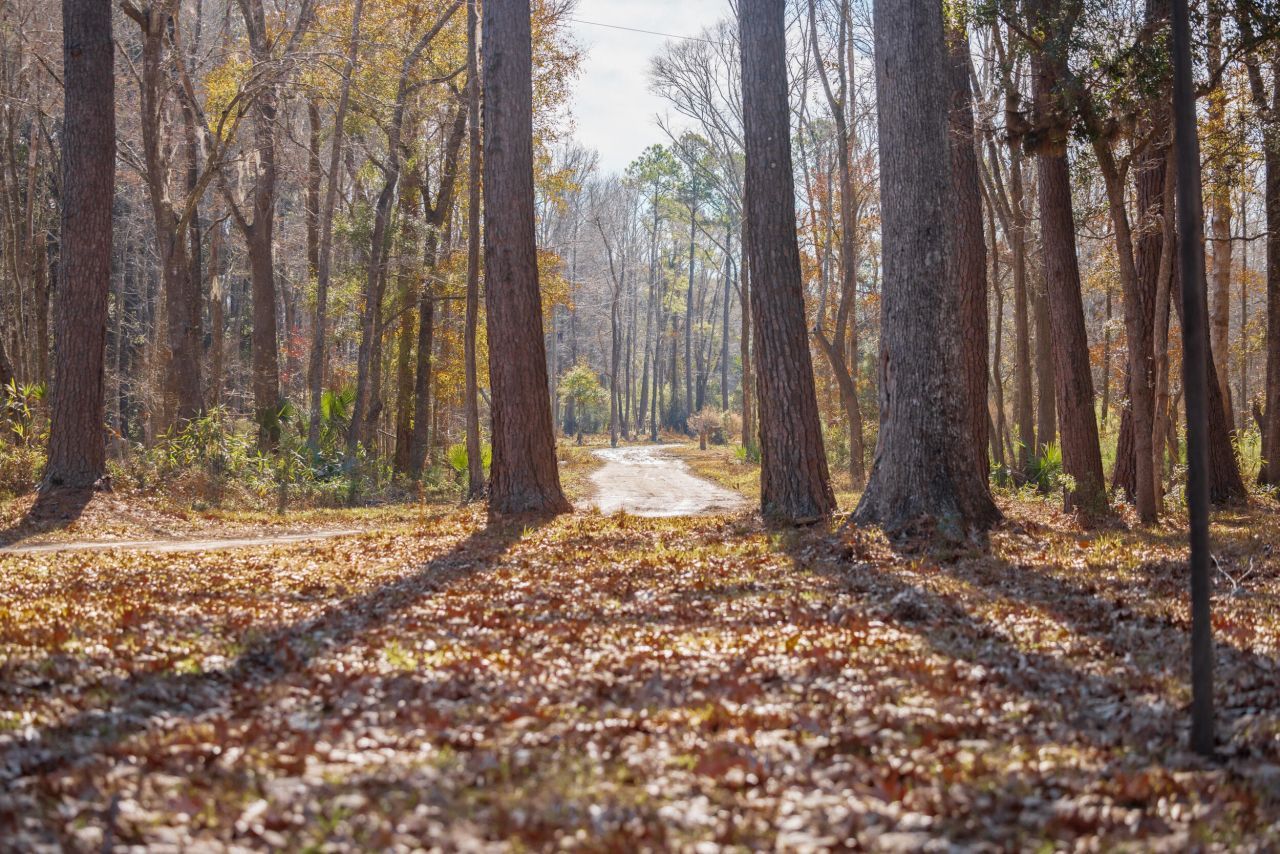 4294 River Road Photo 27