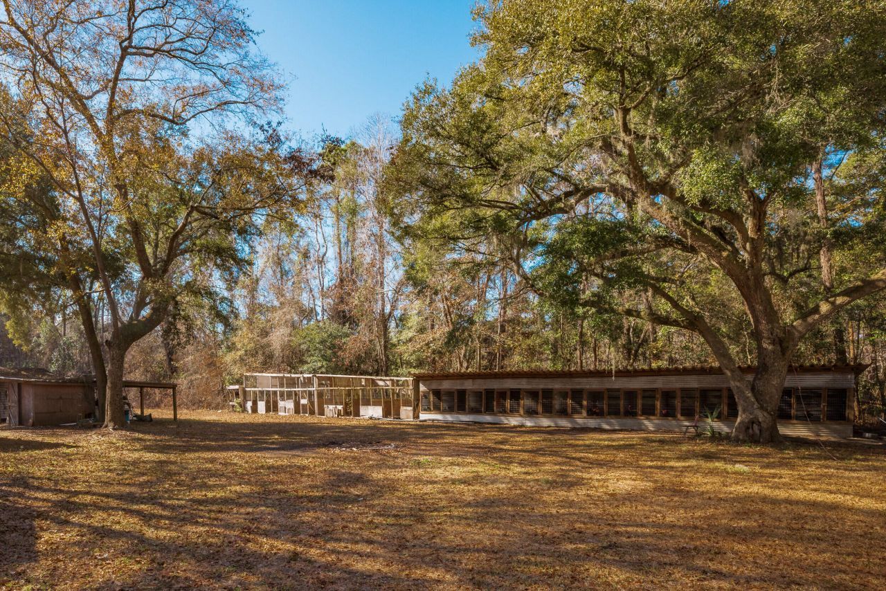 4294 River Road Photo 38