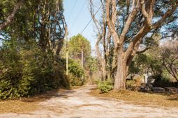 4294 River Road photo 4