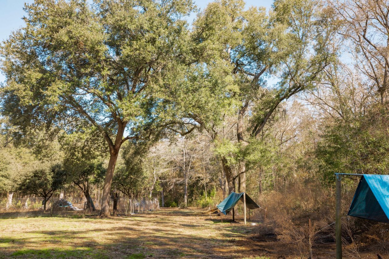 4294 River Road Photo 58