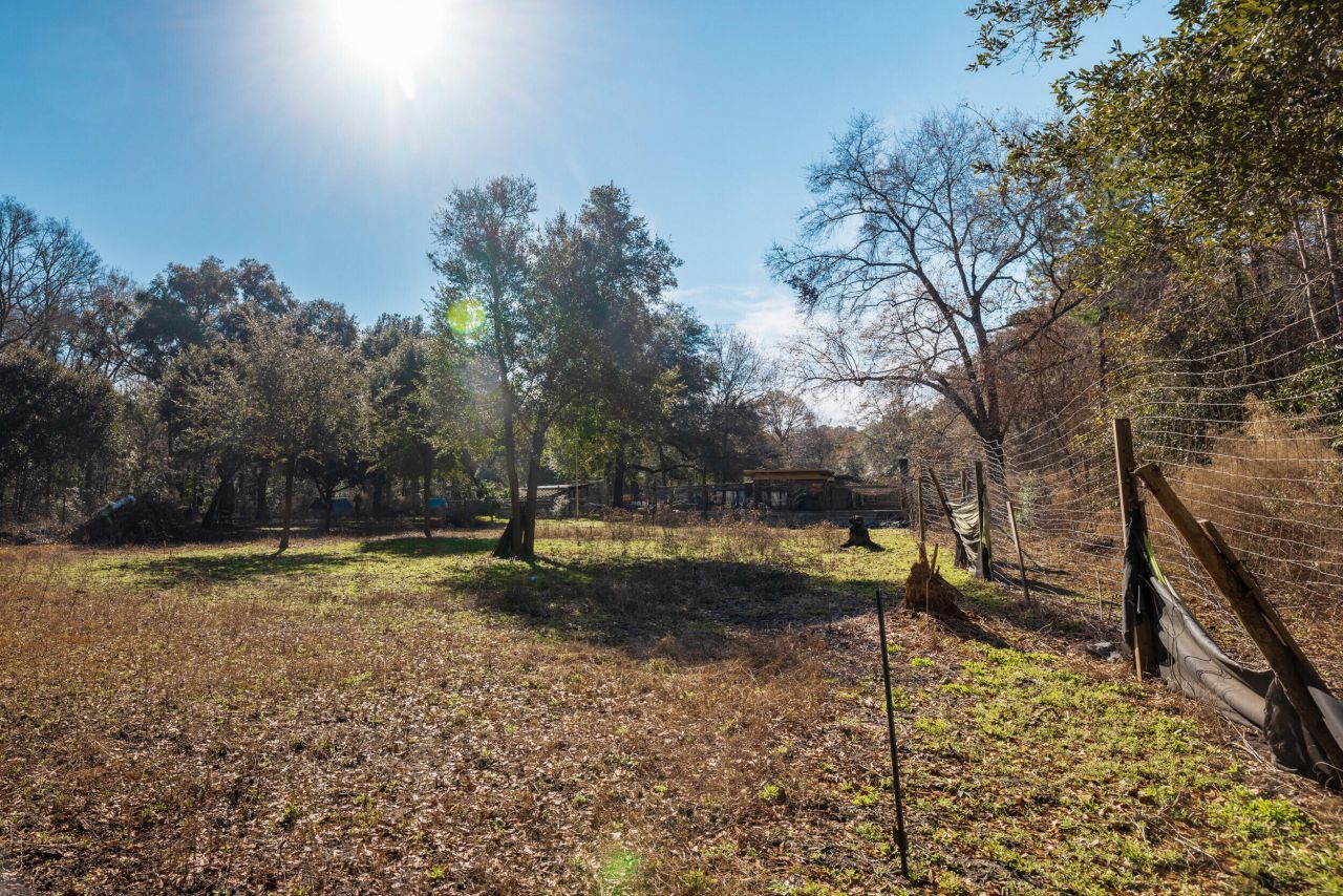 4294 River Road Photo 60