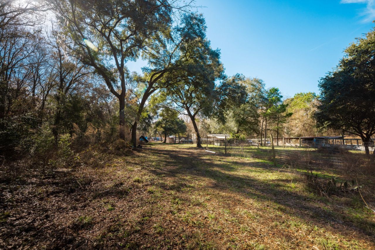 4294 River Road Photo 62