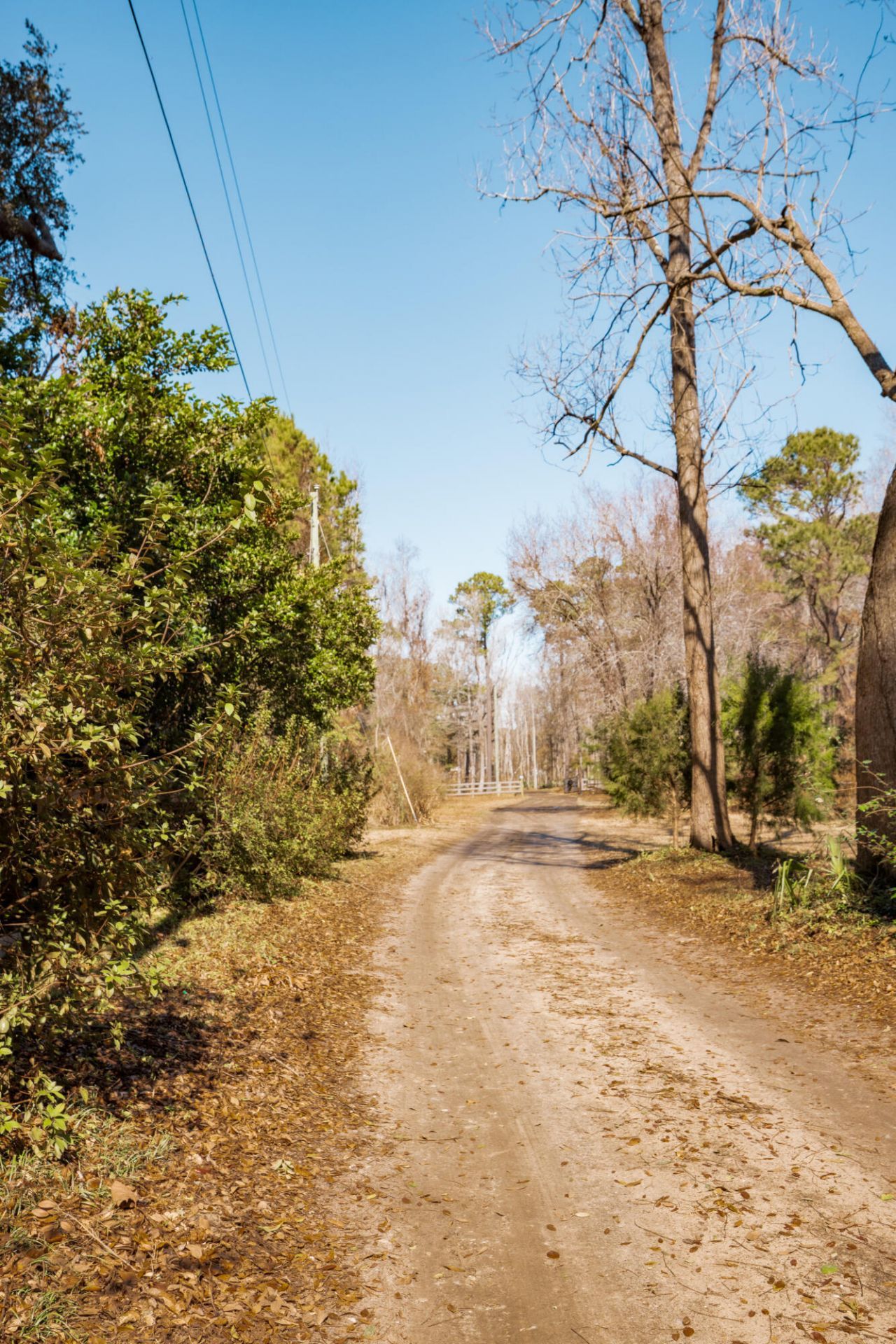 4294 River Road Photo 7