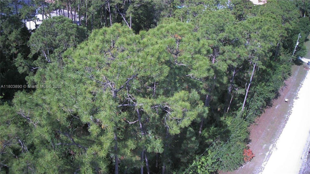 17354 75th Pl N, Loxahatchee, FL 33470 Photo