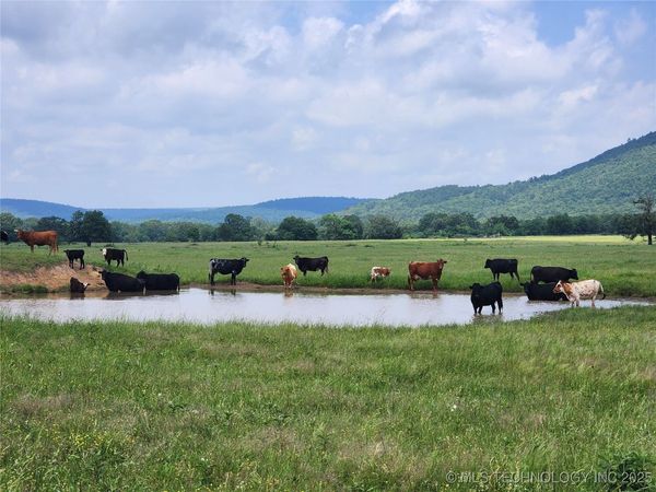 8014 SE Hwy 63, Talihina, OK 74571