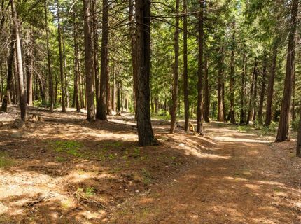 14647 Banner Quaker Hill Rd, Nevada City, CA 95959 Photo