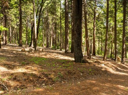 14647 Banner Quaker Hill Rd, Nevada City, CA 95959 Photo
