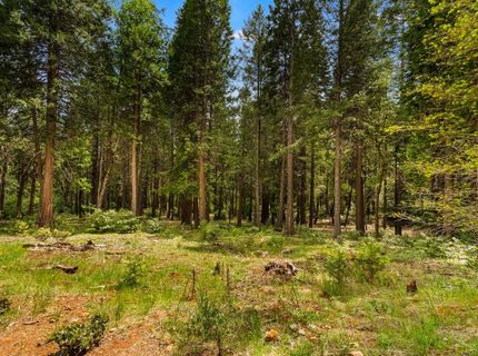 14647 Banner Quaker Hill Rd, Nevada City, CA 95959 Photo