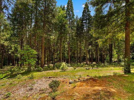14647 Banner Quaker Hill Rd, Nevada City, CA 95959 Photo