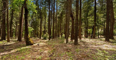 14647 Banner Quaker Hill Rd, Nevada City, CA 95959 Photo