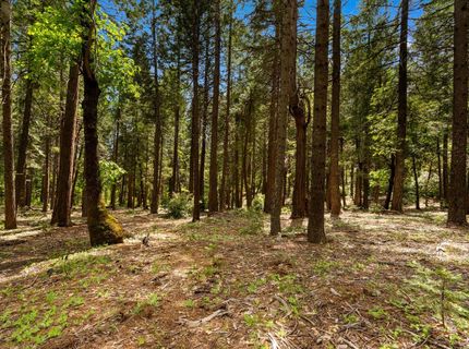 14647 Banner Quaker Hill Rd, Nevada City, CA 95959 Photo