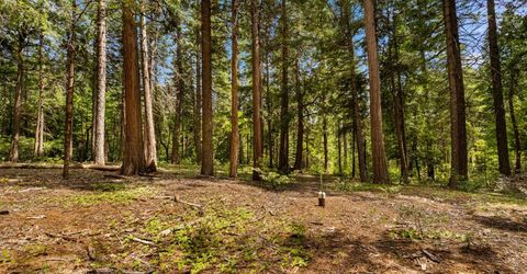 14647 Banner Quaker Hill Rd, Nevada City, CA 95959 Photo