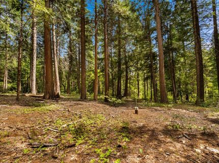14647 Banner Quaker Hill Rd, Nevada City, CA 95959 Photo