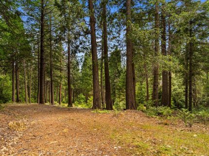 14647 Banner Quaker Hill Rd, Nevada City, CA 95959 Photo