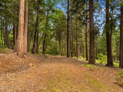 14647 Banner Quaker Hill Rd, Nevada City, CA 95959 Photo