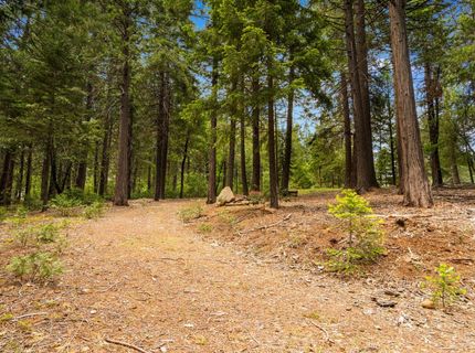 14647 Banner Quaker Hill Rd, Nevada City, CA 95959 Photo