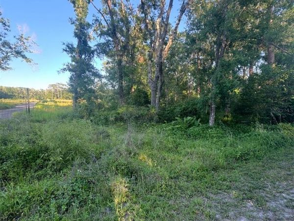 14805 BERKFORD AVENUE, TAMPA, FL 33625