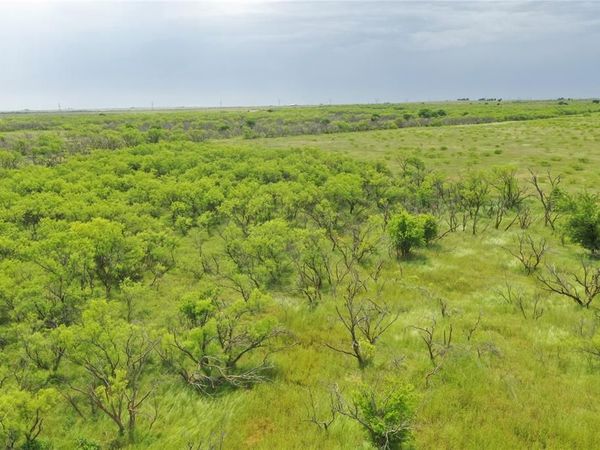 TBD FM 2321 TRACT 2, Bellevue, TX 76228