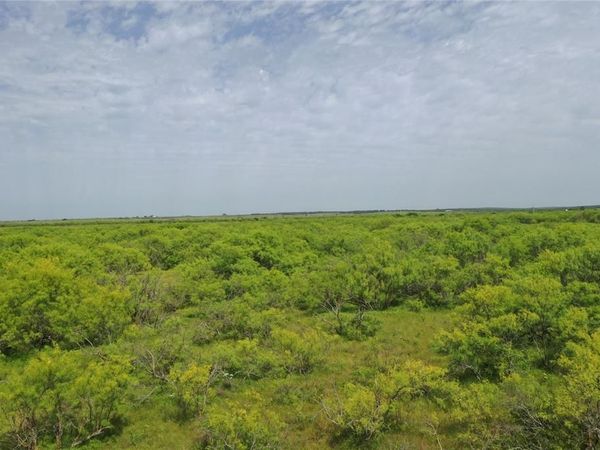 TBD FM 2321-TRACT 1, Bellevue, TX 76228