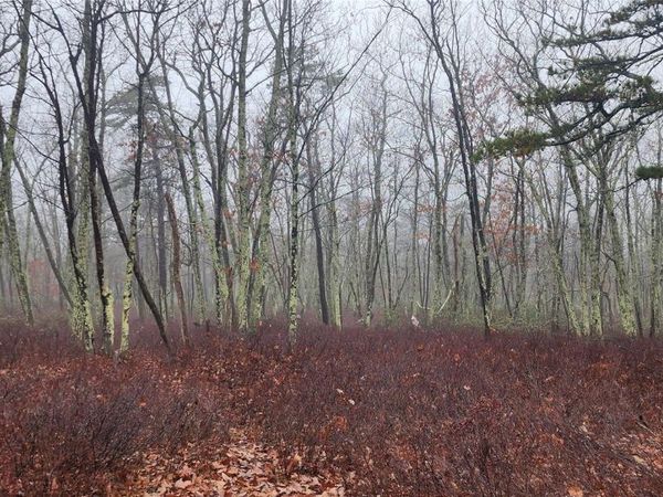 Peewee Trail, Wurtsboro, NY 12790