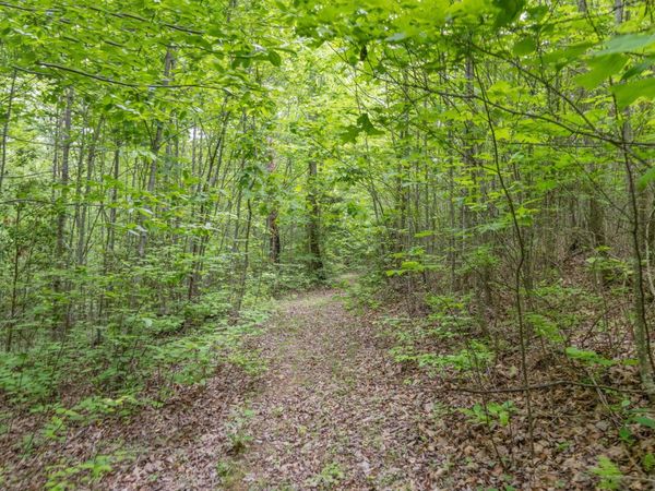 0 Rock Avenue End Of Avenue, Palmer, TN 37365