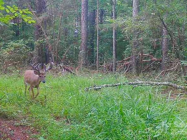 5555 Groves Road, Union Mills, NC 28167