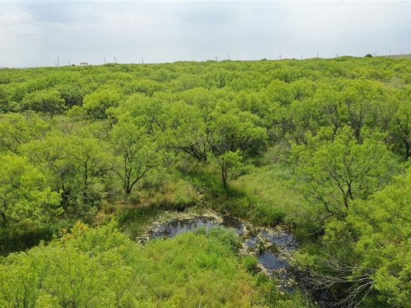 TBD McDonald Rd-TRACT 7, Bellevue, TX 76228