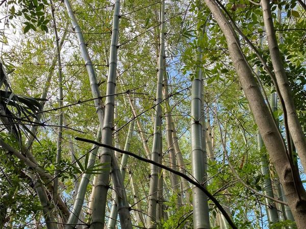 411 SOLONA STREET, PUNTA GORDA, FL 33950