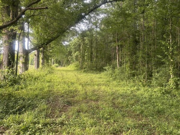 00 E Old Hwy 80, Morton, MS 39117