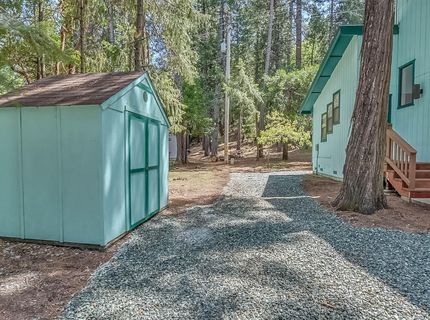 16815 Alpine Dr, Pioneer, CA 95666 Photo