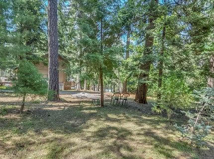 16815 Alpine Dr, Pioneer, CA 95666 Photo