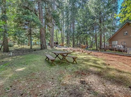 16815 Alpine Dr, Pioneer, CA 95666 Photo