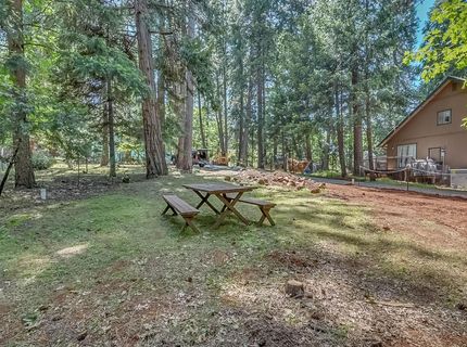 16815 Alpine Dr, Pioneer, CA 95666 Photo