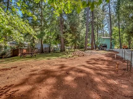 16815 Alpine Dr, Pioneer, CA 95666 Photo