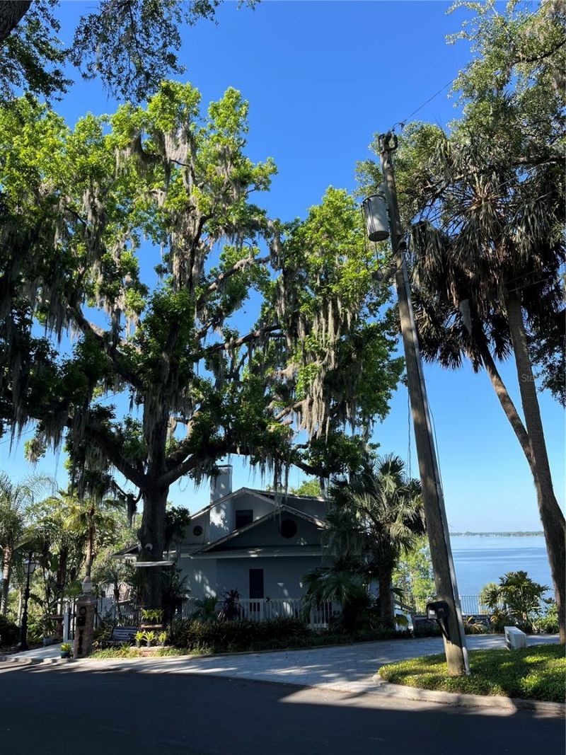 629 Helen Street, Mount Dora, FL 32757 Photo