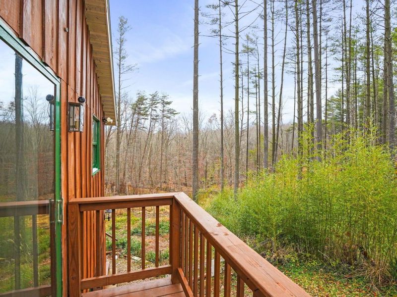 25755 Amerine Road, South Bloomingville, OH 43152 Photo 20