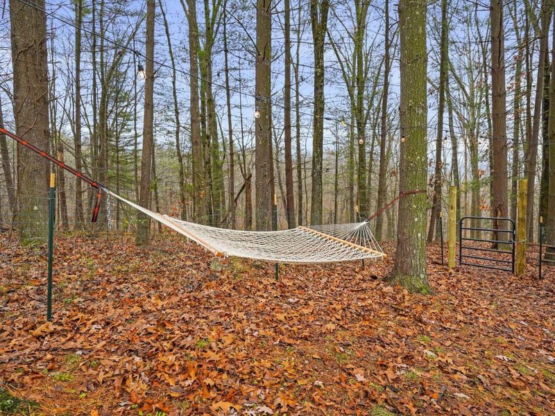 25755 Amerine Road, South Bloomingville, OH 43152 Photo 35