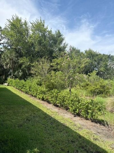 10607 Ladybug Cove, Parrish, FL 34219 Photo