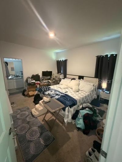 10607 Ladybug Cove, Parrish, FL 34219 Photo