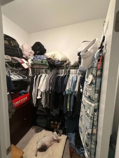 10607 Ladybug Cove, Parrish, FL 34219 Photo