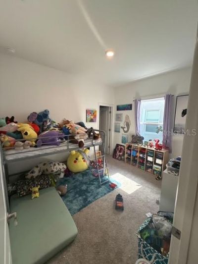 10607 Ladybug Cove, Parrish, FL 34219 Photo